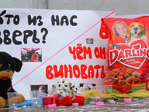 Во что оценивается жизнь беззащитного животного? Во что оценивается жизнь беззащитного животного?
